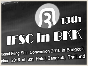13th IFSA Convention